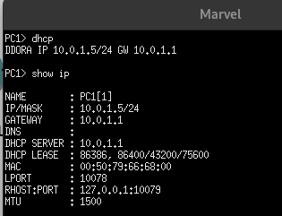 Comprobación DHCP 1